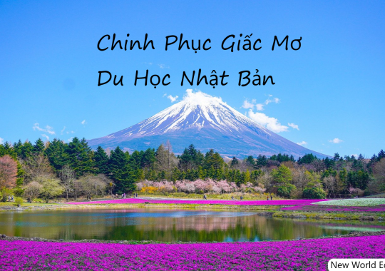 Chinh Phục Giấc Mơ Du Học Nhật Bản: 9 Bước Không Thể Bỏ Qua